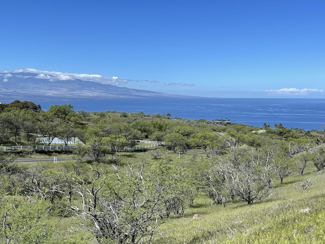 59-106 Olomana Rd, Kamuela HI, 96743 land for sale