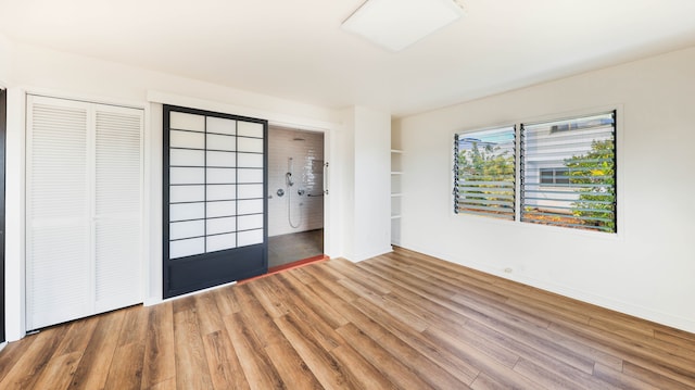 foyer featuring wood-type flooring