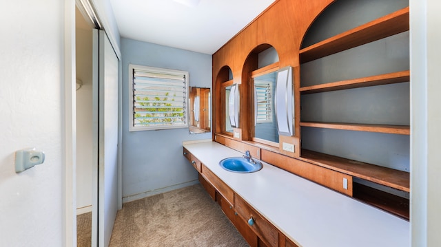 unfurnished office featuring light carpet and sink