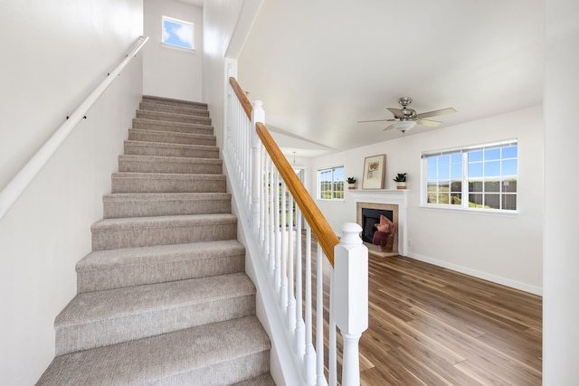 staircase with wood-type flooring and ceiling fan