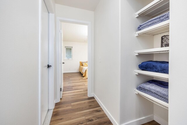 hallway featuring wood-type flooring