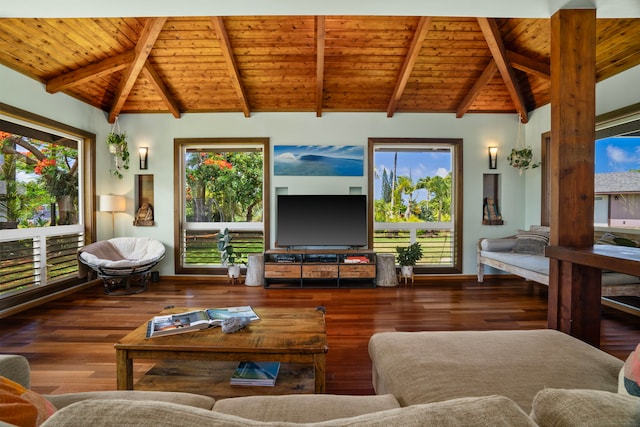 living room with dark hardwood / wood-style floors and plenty of natural light