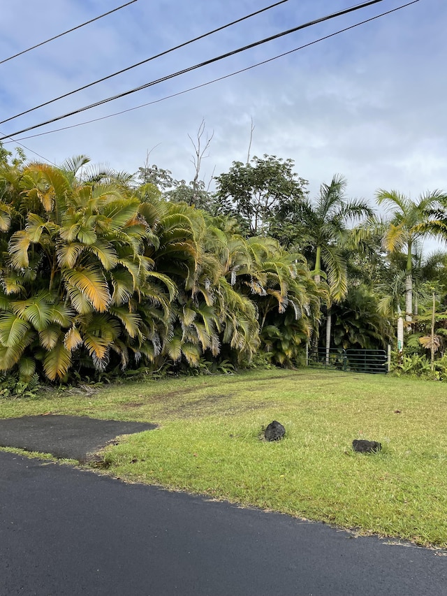 Listing photo 2 for Alapai St, Pahoa HI 96778