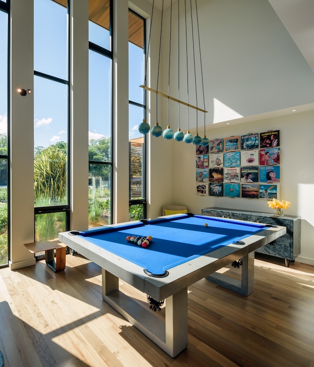 playroom featuring a towering ceiling, wood-type flooring, and plenty of natural light