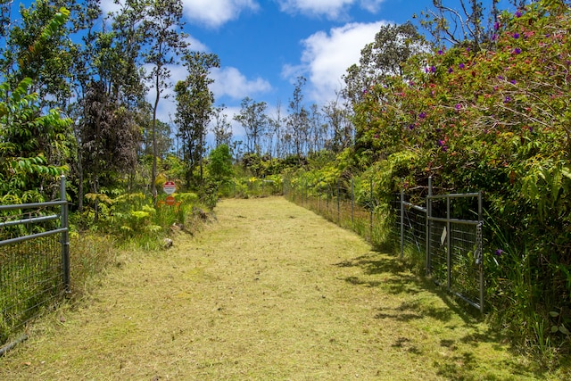 view of yard featuring a rural view