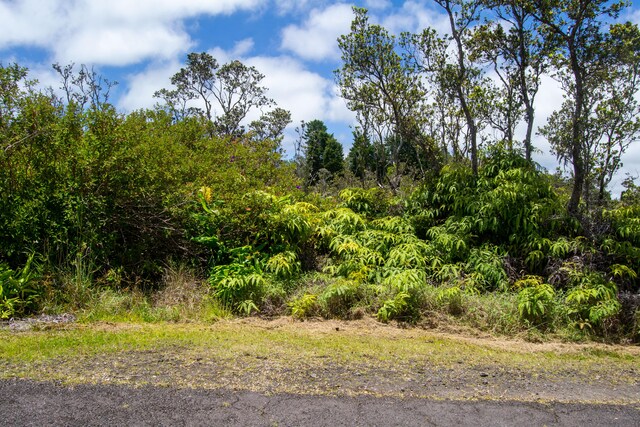 11-3395 Mokuna St, Volcano, HI 96785 - view of landscape