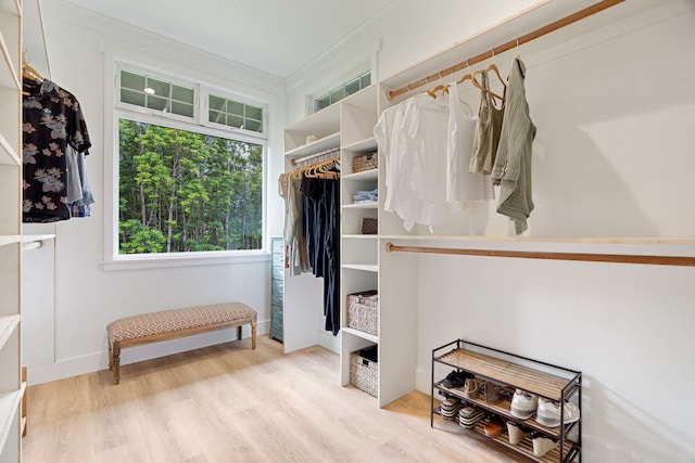 spacious closet featuring light wood-type flooring