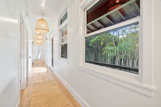 corridor featuring wood-type flooring