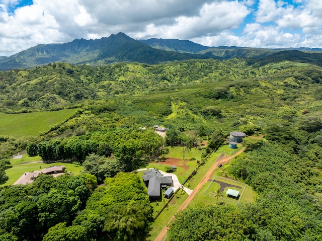 aerial view featuring a mountain view