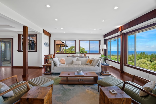 living room with dark wood-type flooring