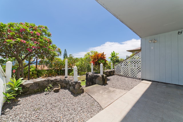 view of yard featuring a patio area