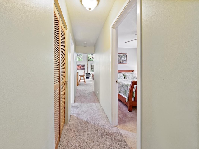 hallway featuring light carpet