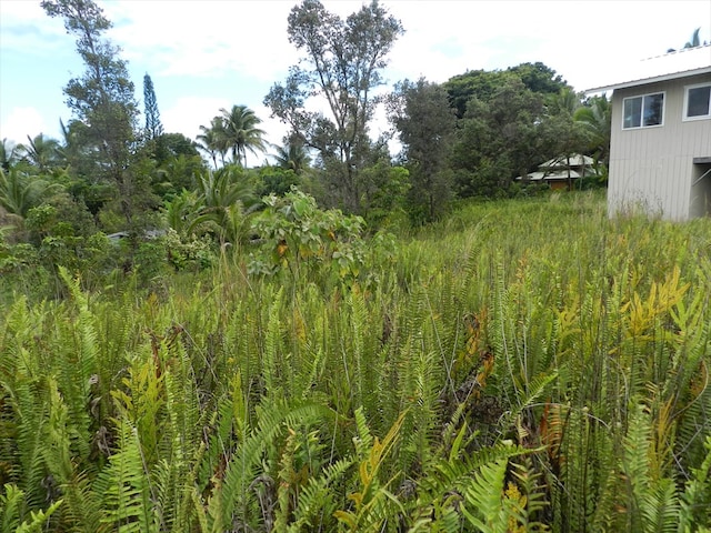 Listing photo 2 for 4 Kamoamoa St, Pahoa HI 96778