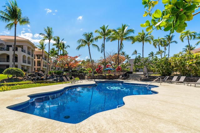 view of swimming pool featuring a patio