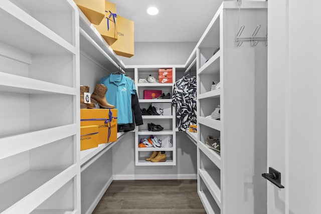 walk in closet with dark hardwood / wood-style flooring