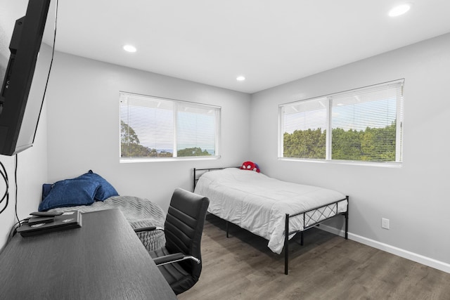 bedroom featuring multiple windows and dark wood-type flooring