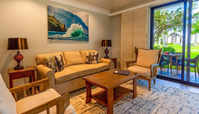 living area with hardwood / wood-style floors