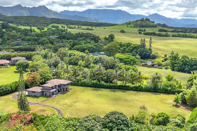 aerial view with a mountain view and a rural view