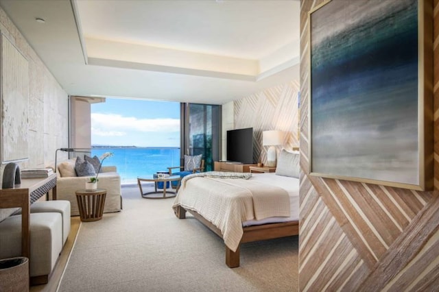 bedroom featuring carpet flooring and a raised ceiling