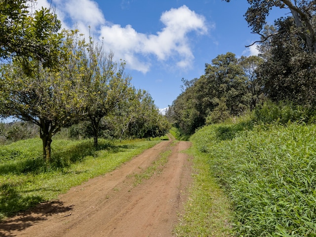 view of road