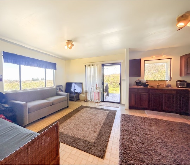 living room with sink