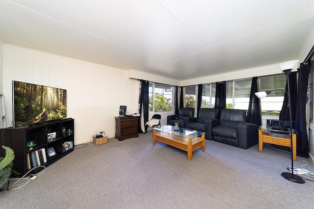 living room featuring carpet flooring