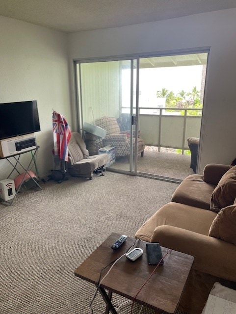 view of carpeted living room