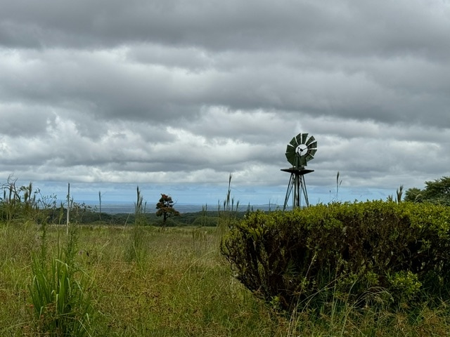 view of nature