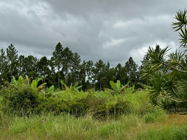 view of landscape