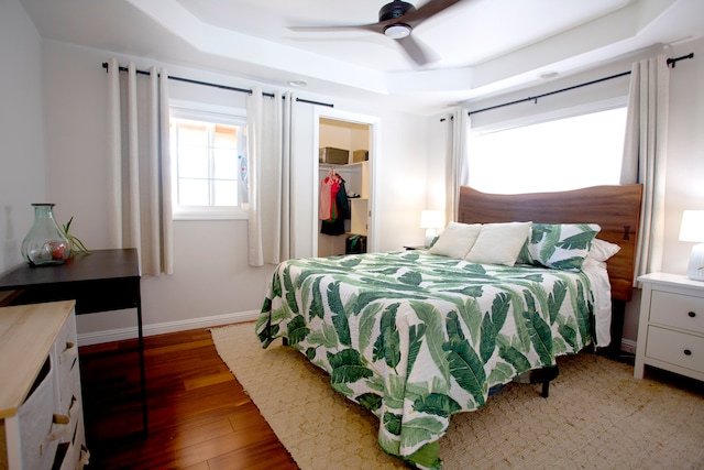 bedroom with hardwood / wood-style flooring, a closet, a spacious closet, ceiling fan, and a raised ceiling