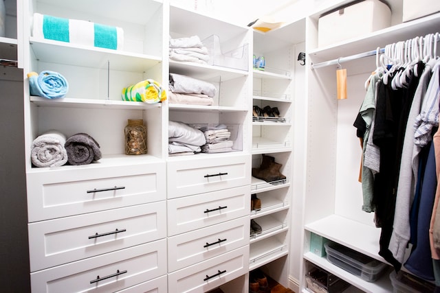 view of walk in closet