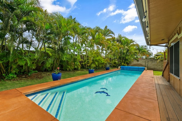 view of swimming pool