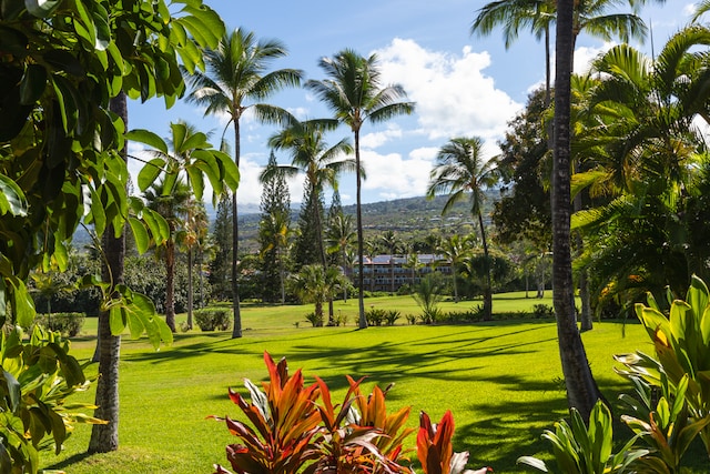 surrounding community featuring a yard