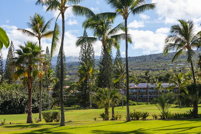 view of community featuring a yard