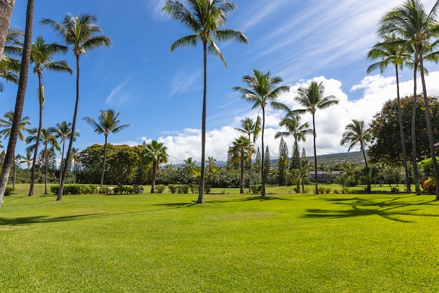 view of home's community featuring a lawn