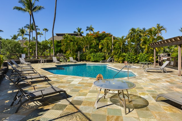 view of pool with a patio