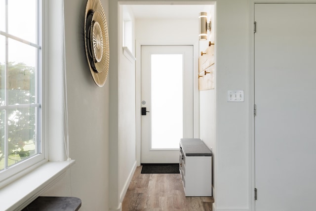 doorway with plenty of natural light and light hardwood / wood-style floors