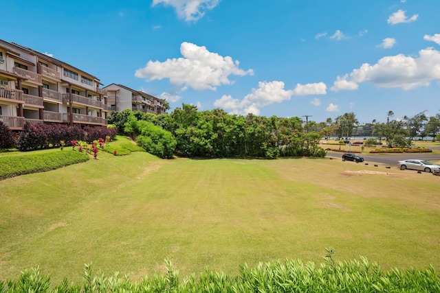 view of property's community featuring a yard