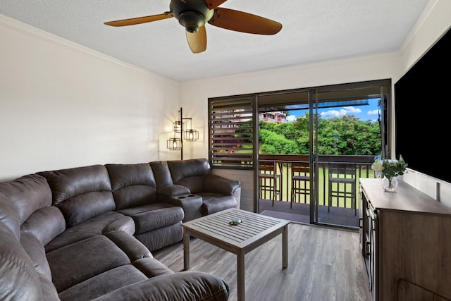 living room featuring a textured ceiling, ceiling fan, light wood-type flooring, and crown molding