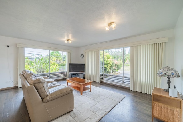 living room featuring a textured ceiling and hardwood / wood-style floors