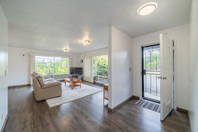 living area featuring baseboards and dark wood-type flooring