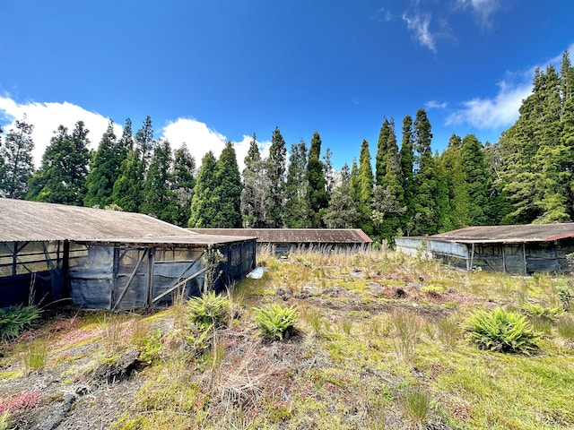 view of yard with an outdoor structure