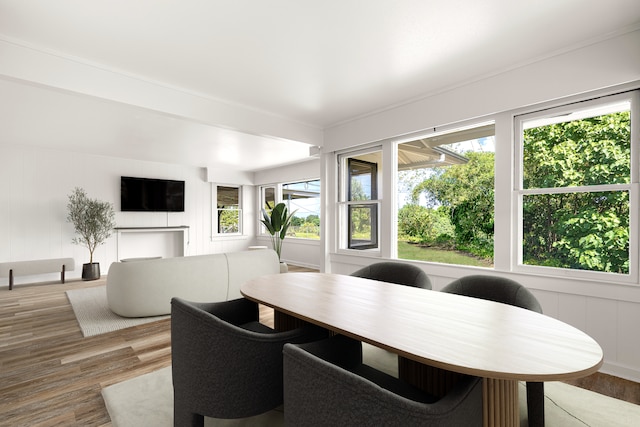 dining room with hardwood / wood-style flooring and plenty of natural light