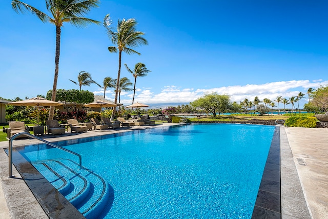 view of swimming pool with a patio