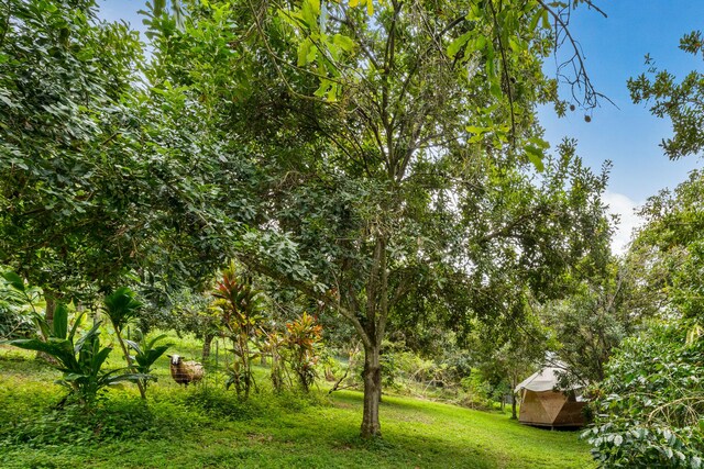 83-1064 Honaunau School Rd, Captain Cook, HI 96704