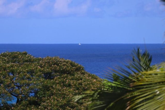 view of water feature