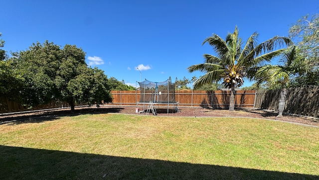 view of yard with a trampoline