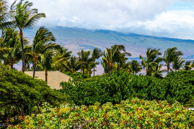 property view of water with a mountain view