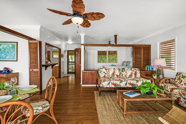 living room featuring ceiling fan, dark hardwood / wood-style floors, and crown molding