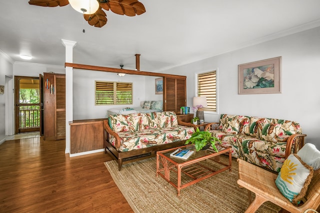 living room featuring crown molding, ceiling fan, and dark hardwood / wood-style floors